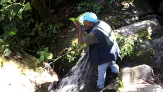 Království divočiny: Rajky, Papua Nová Guinea