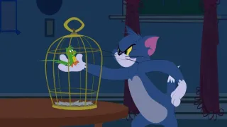 Tom és Jerry új kalandjai (8)
