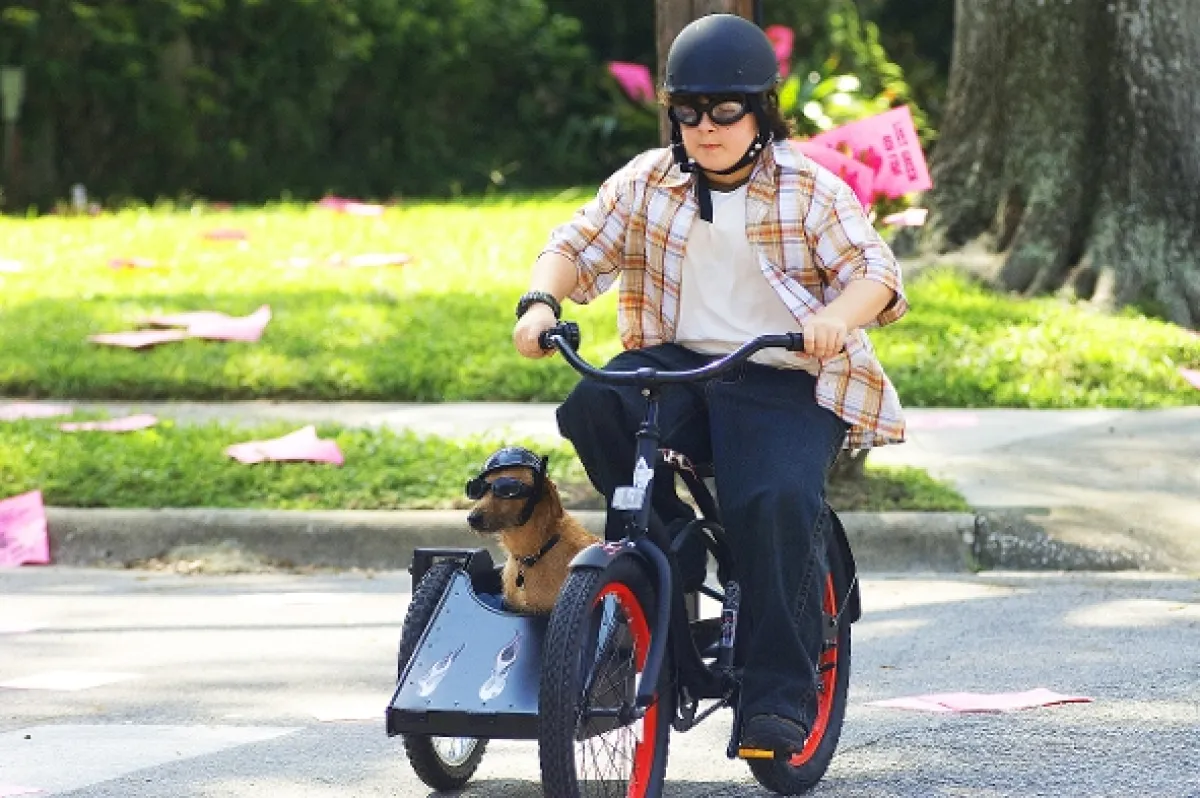 Ace Ventura Junior (Ace Ventura: Pet Detective Jr.), 2008 - fotogaléria