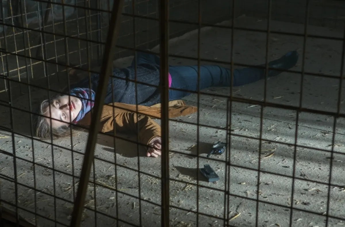 Päť mŕtvych psov, 2016 - fotogaléria