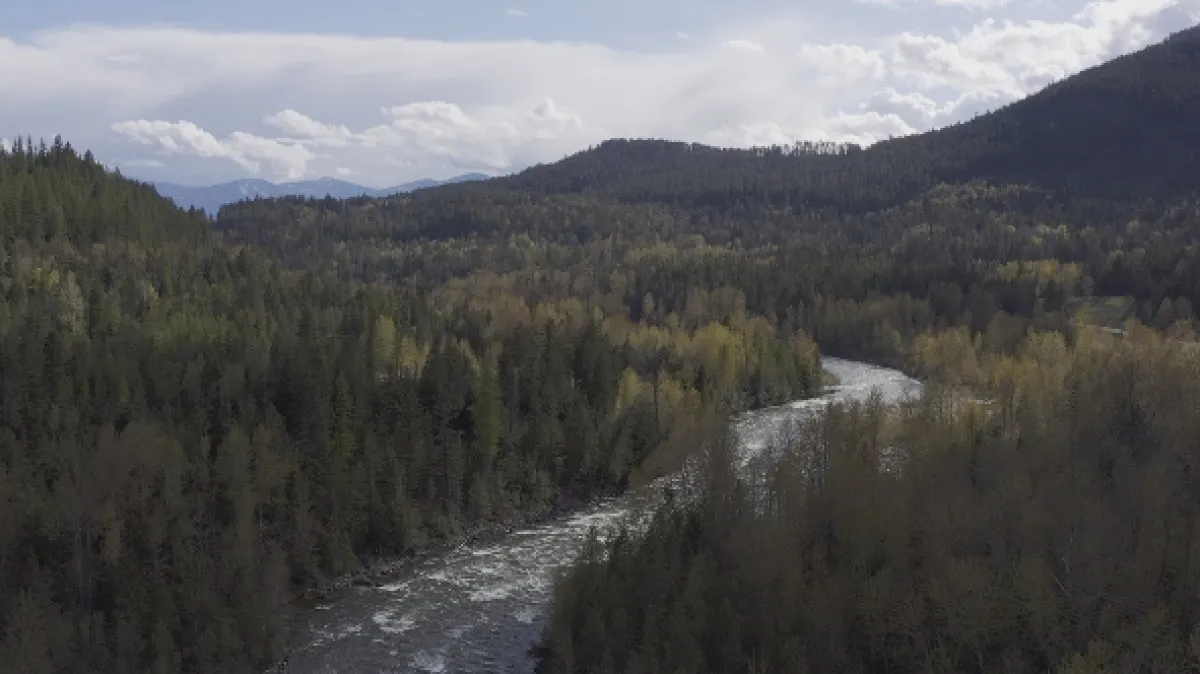 Znovuzrozená divočina Skalnatých hor: Od Yellowstonu k Yukonu - fotogaléria