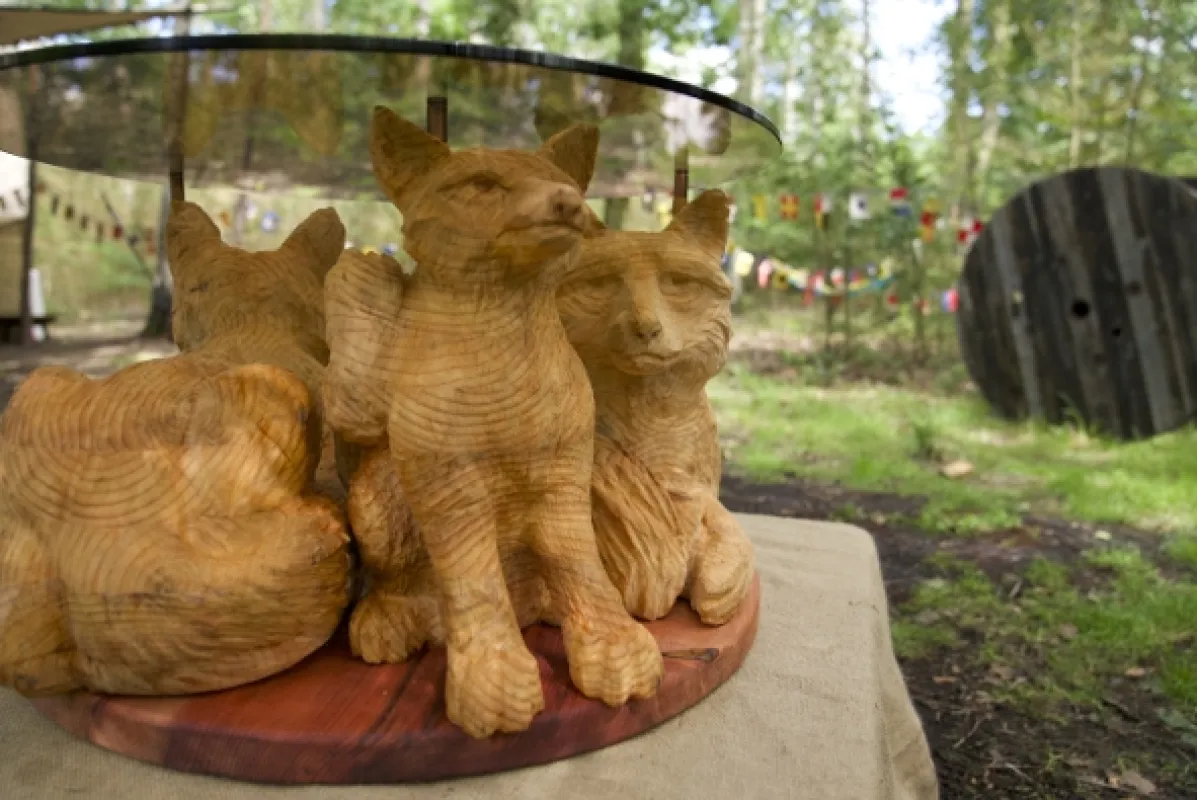 Mistři dřeva (Kings of the Wood), 2023 - fotogaléria