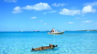 Čarovné momenty prírody