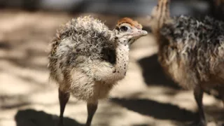 Čarovné momenty prírody