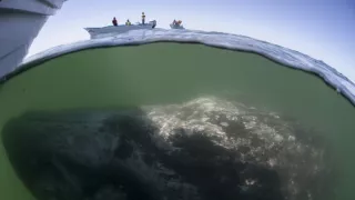 Čarovné momenty prírody