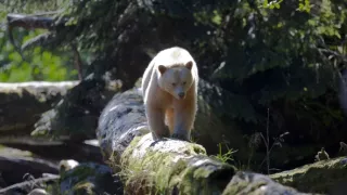 Čarovné momenty prírody