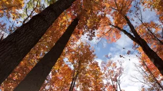 Čarovné momenty prírody