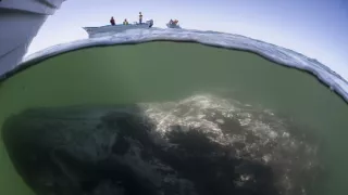 Čarovné momenty prírody