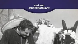 Pancho se žení