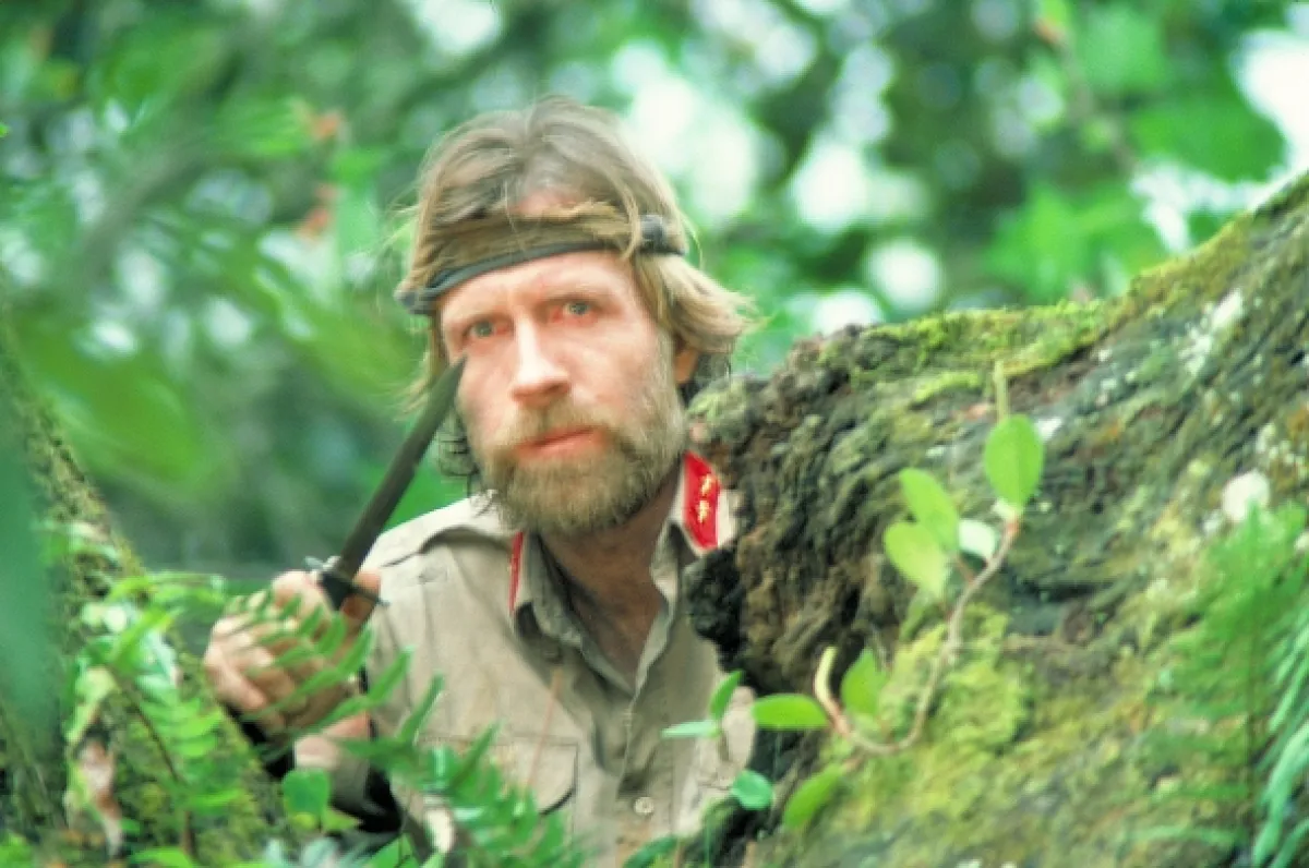 Nezvestní v boji 2 (Missing in Action 2: The Beginning), 1985 - fotogaléria