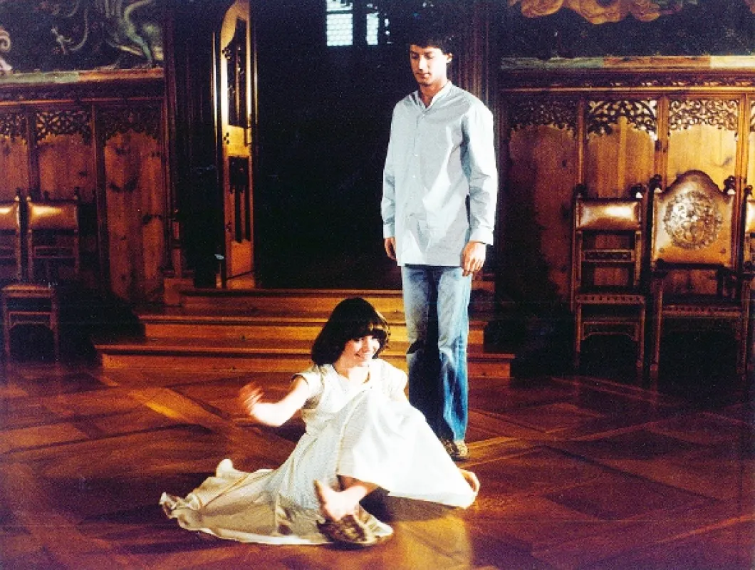 Kopretiny pro zámeckou paní (Marguerites for the Lady of the Castle), 1981 - fotogaléria