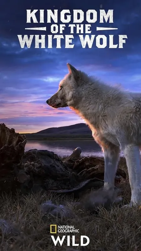 Kráľovstvo vlka arktického (Kingdom of The White Wolf), 2019 - fotogaléria
