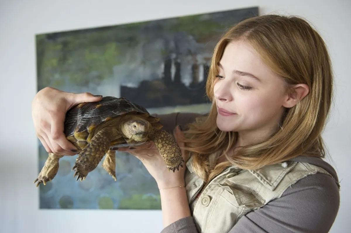 Laggies, 2014 - fotogaléria