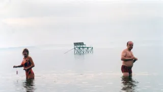 Pupendo