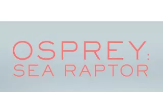 Orlovec: Příběh dravce