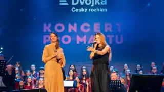Koncert pro Martu