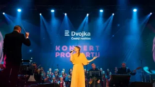 Koncert pro Martu