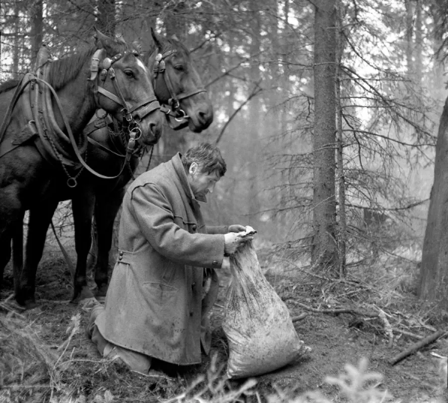 Dúhový lúk, 1972 - fotogaléria