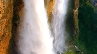 Salto je kráľ