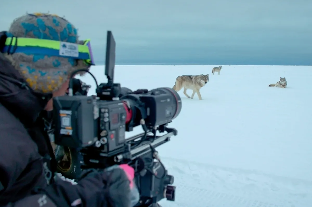 Jak přežít mráz v divočině (Wild Life: The Big Freeze), 2019 - fotogaléria