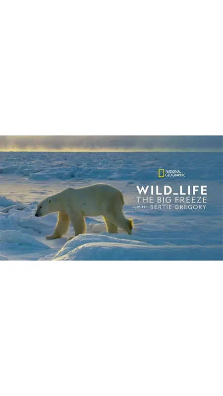 Jak přežít mráz v divočině (Wild Life: The Big Freeze), 2019 - fotogaléria