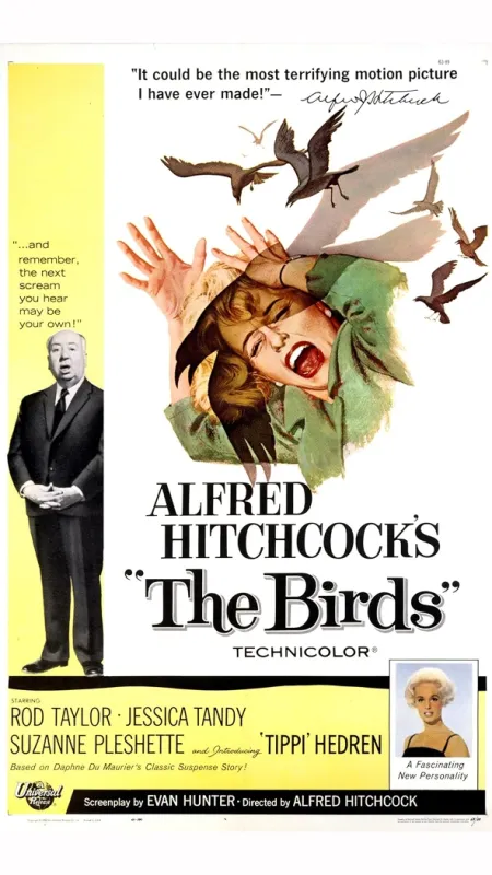 Ptáci (Birds, The), 1963 - fotogaléria