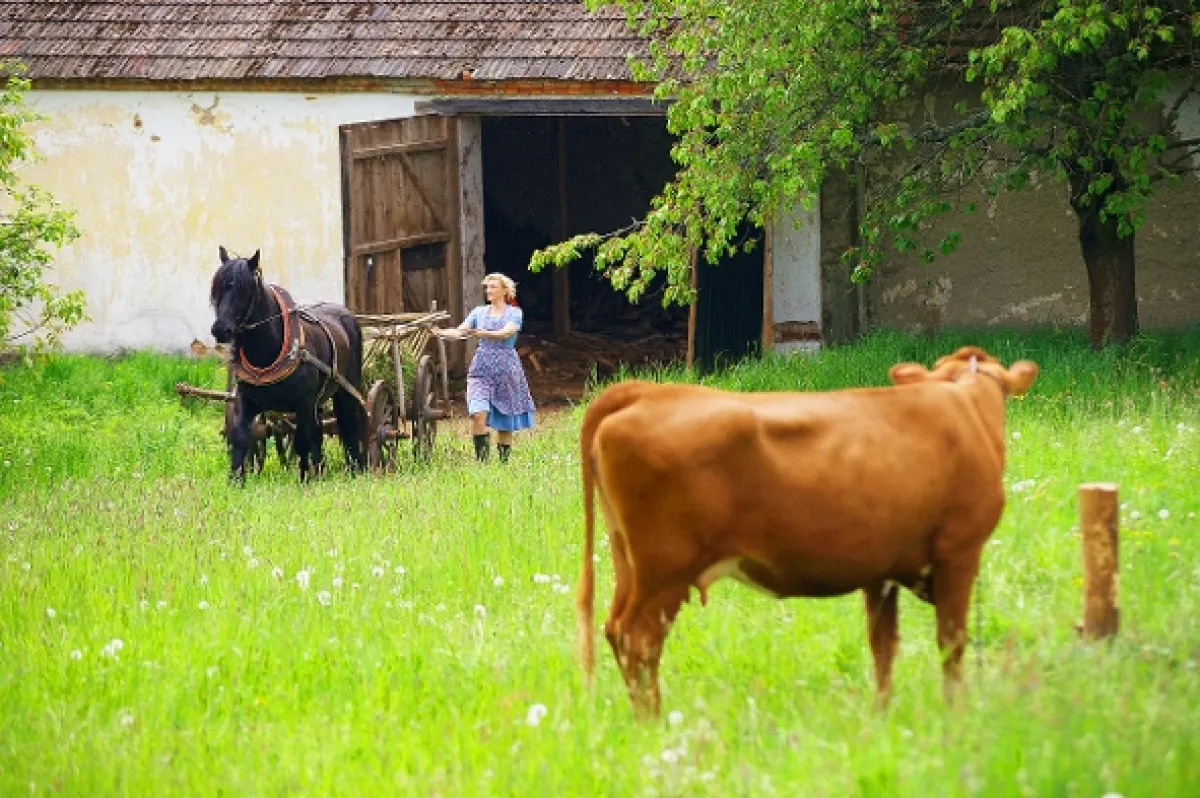 Kryštof, 2021 - fotogaléria