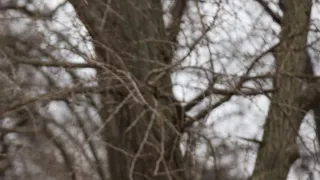 Otcové a dcery