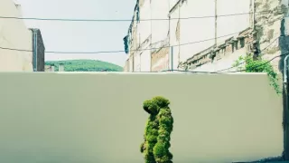 Veličenstvo mach
