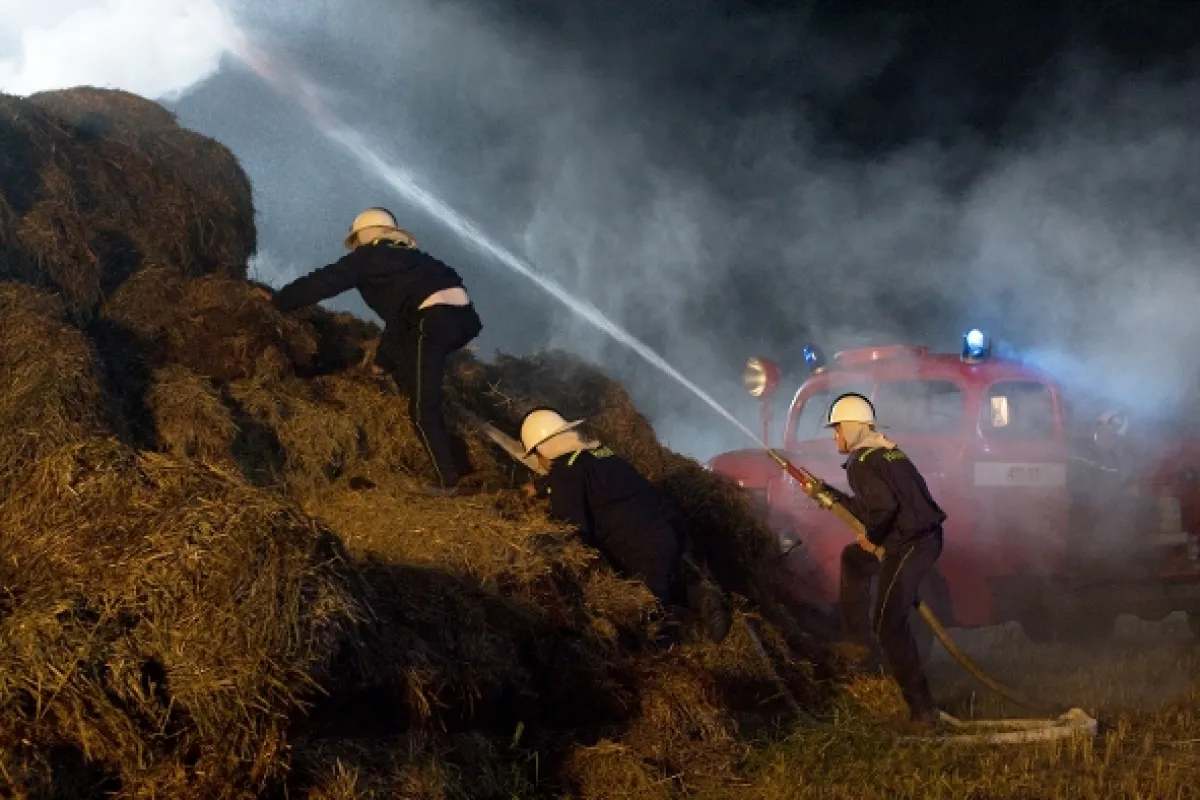 Nejlepší trapasy, 2013 - fotogaléria