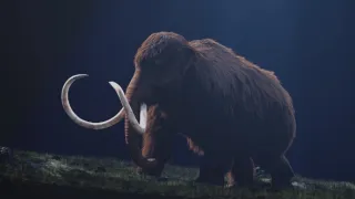 Jak oživit mamuta
