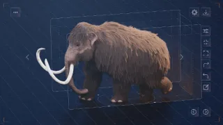 Jak oživit mamuta