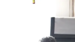 Ano, šéfe!