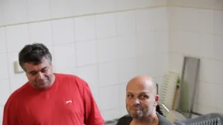 Ano, šéfe!