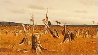 Apokalypsa a konec světa