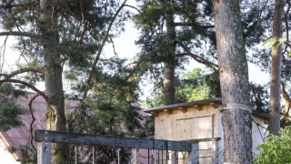 Ferdinandove záhrady III (3/8)