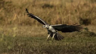 Okavango - rieka snov (3/4)