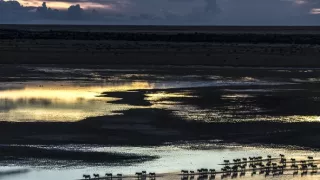 Okavango - rieka snov (3/4)