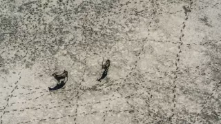 Okavango - rieka snov (3/4)