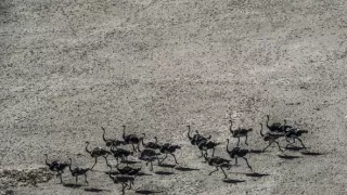 Okavango - rieka snov (3/4)