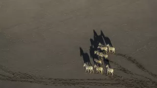 Okavango - rieka snov (3/4)