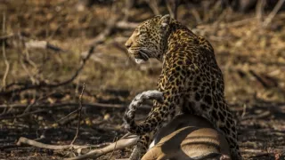 Okavango - rieka snov (3/4)