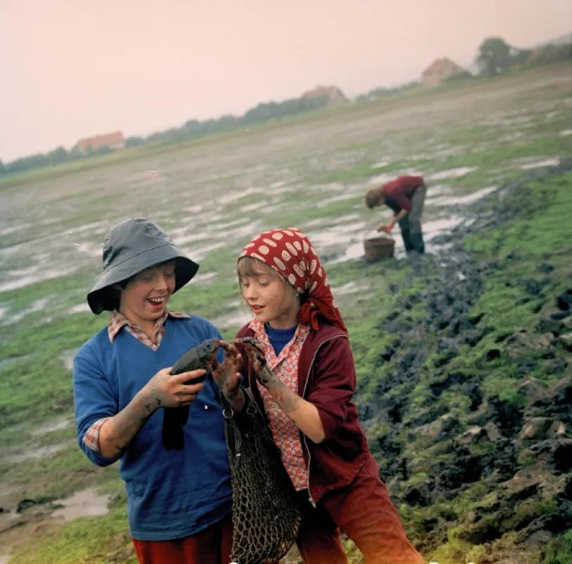 Tajemství proutěného košíku, 1977 - fotogaléria