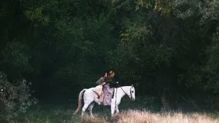 Cesta psanců
