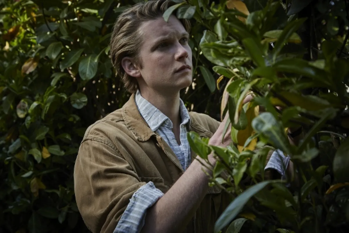 Detektív Endeavour Morse, 2015 - fotogaléria