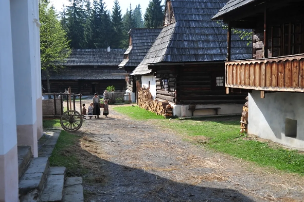 Šťastný smolař, 2012 - fotogaléria
