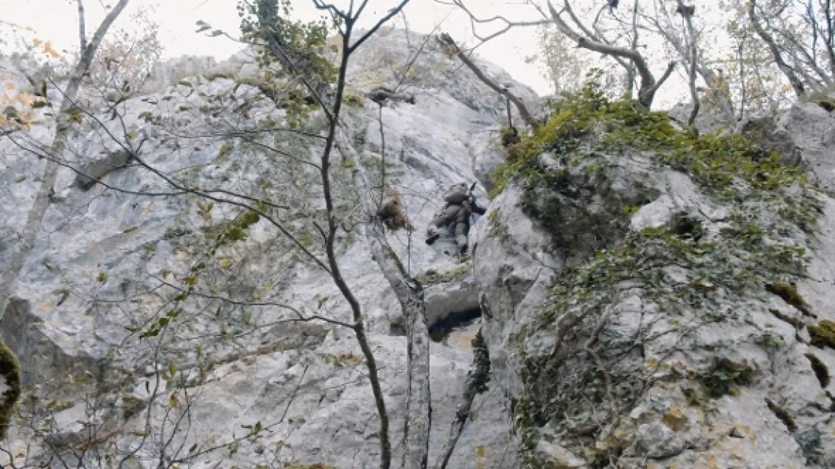 Detektiv s detektorem, 2025 - fotogaléria
