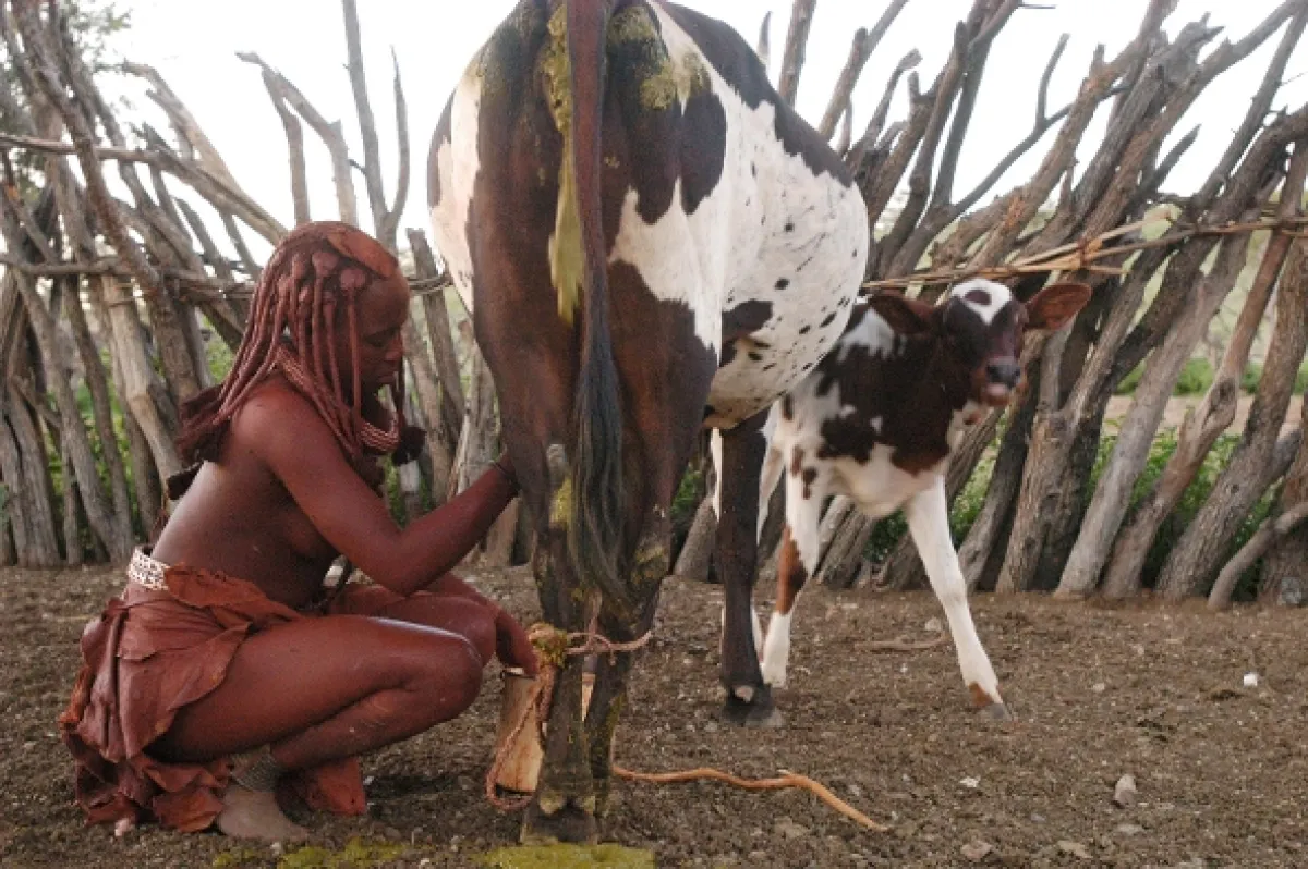 Kouzlo Afriky, 2005 - fotogaléria