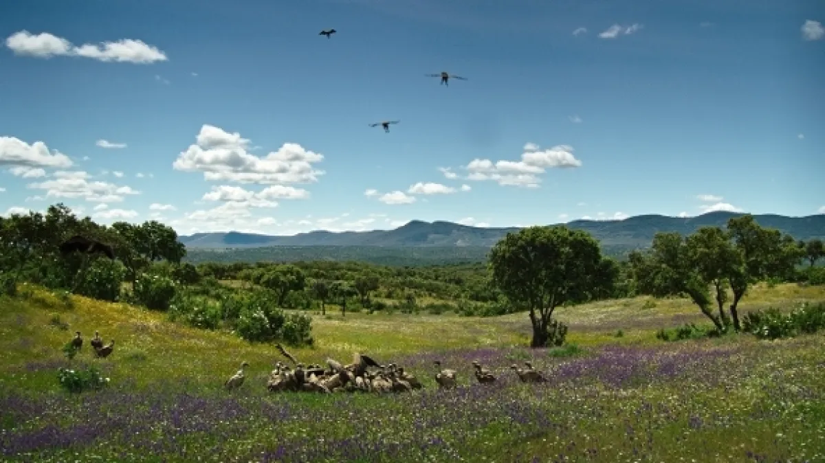 Portugalsko: Divoký západ Európy (Portugal: Europe’s Wild West), 2020 - fotogaléria