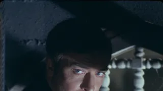 Gambit